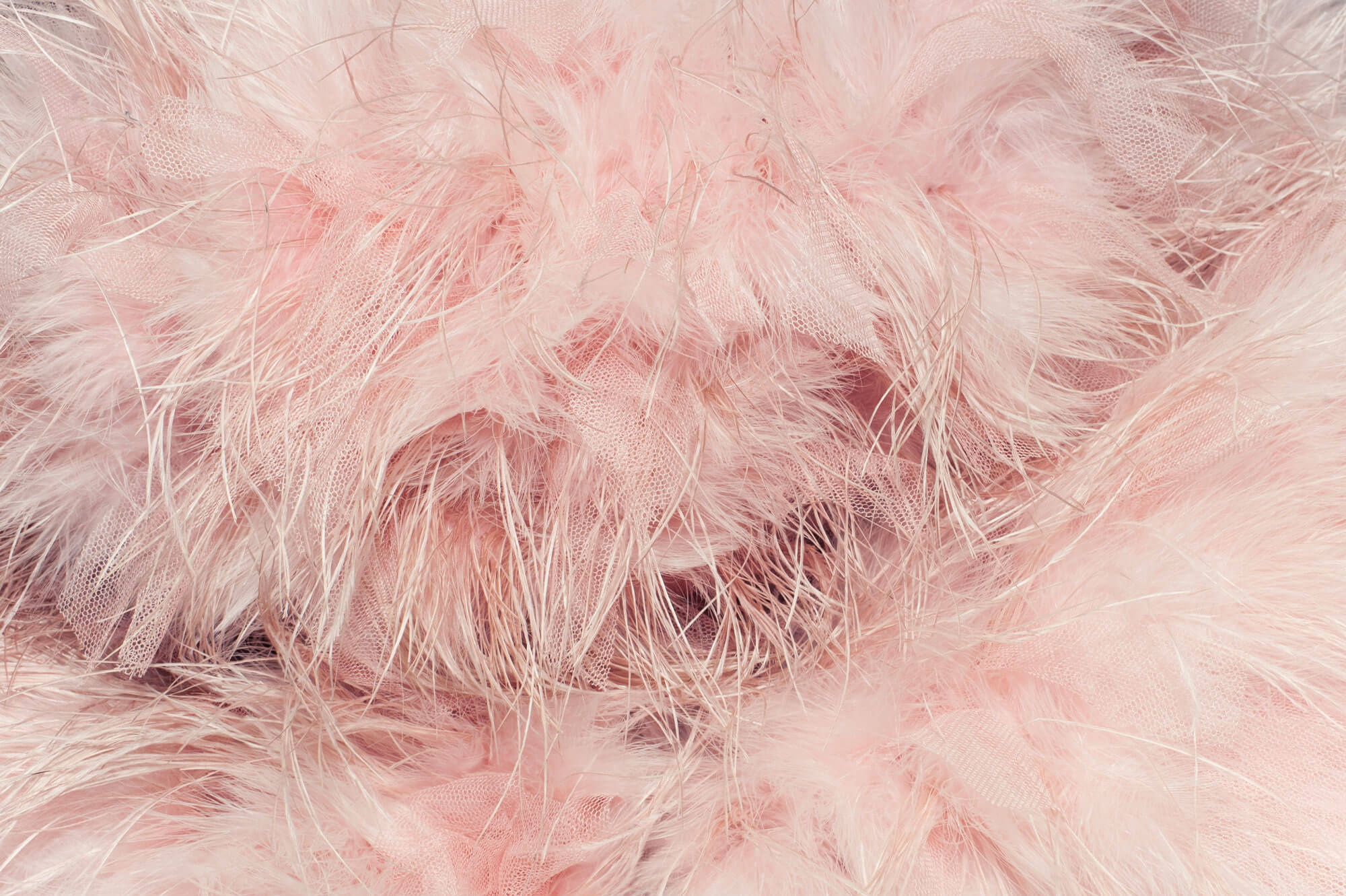Chanel Haute Couture